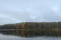 IMG20221027080836