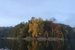 IMG20221027081215