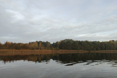 IMG20221027081620