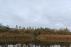 IMG20221027081744