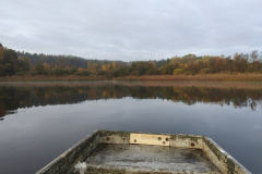 IMG20221027082837