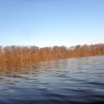 Paddeln-Grosser-Ploener-See-018
