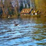 Paddeln-Grosser-Ploener-See-023