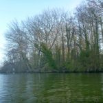 Paddeln-Grosser-Ploener-See-033