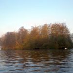 Paddeln-Grosser-Ploener-See-034