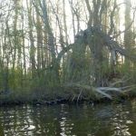Paddeln-Grosser-Ploener-See-035