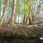 Paddeln-Grosser-Ploener-See-045
