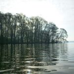 Paddeln-Grosser-Ploener-See-080