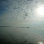 Paddeln-Grosser-Ploener-See-090