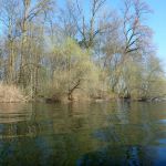 Paddeln-Grosser-Ploener-See-109