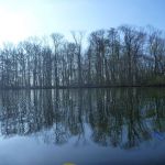 Paddeln-Grosser-Ploener-See-111