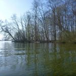 Paddeln-Grosser-Ploener-See-123