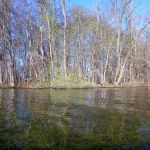 Paddeln-Grosser-Ploener-See-125