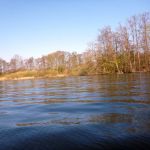 Paddeln-Grosser-Ploener-See-135