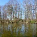 Paddeln-Grosser-Ploener-See-137