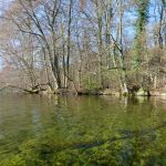 Paddeln-Grosser-Ploener-See-145