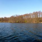 Paddeln-Grosser-Ploener-See-149