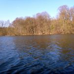 Paddeln-Grosser-Ploener-See-151