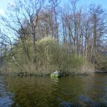 Paddeln-Grosser-Ploener-See-154