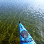 Paddeln-Grosser-Ploener-See-162