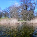 Paddeln-Grosser-Ploener-See-164