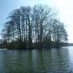 Paddeln-Grosser-Ploener-See-189