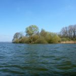 Paddeln-Grosser-Ploener-See-193