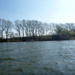 Paddeln-Grosser-Ploener-See-194