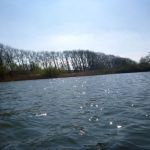 Paddeln-Grosser-Ploener-See-197