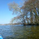 Paddeln-Grosser-Ploener-See-212