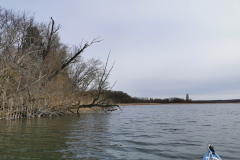 IMG_20210416_104105