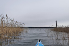 IMG_20210416_110114