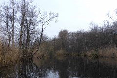 P1000320