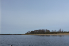 P1000338