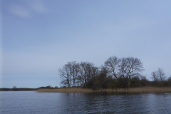 P1000341