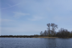 P1000346