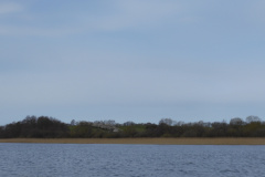 P1000347