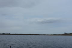 P1000353