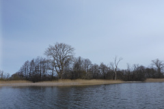 P1000363