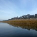 hro1.de-malchiner-see-073