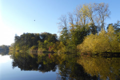 P1000925