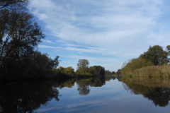 P1000981