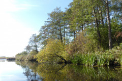 P1000984