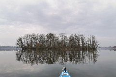 IMG_20210401_072652