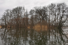 IMG_20210401_073108