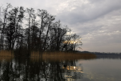 IMG_20210401_073458