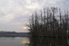 IMG_20210401_073629