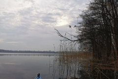IMG_20210401_082625