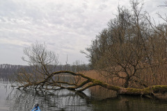 IMG_20210401_083401
