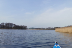 IMG_20210401_102834